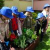 „Zielone ogródki przedszkolaków” 2023