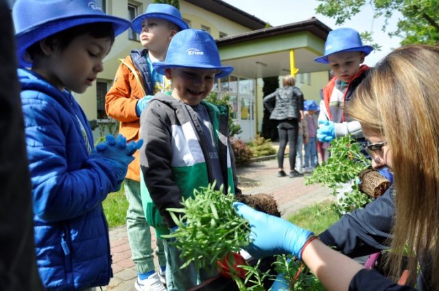 „Zielone ogródki przedszkolaków”