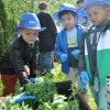 „Zielone ogródki przedszkolaków”